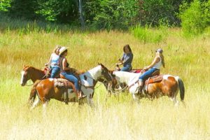 Horseback Riding