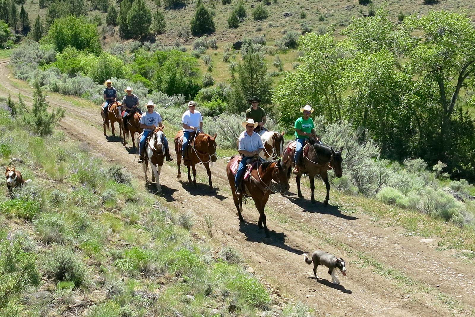 Group of Horseback Riders