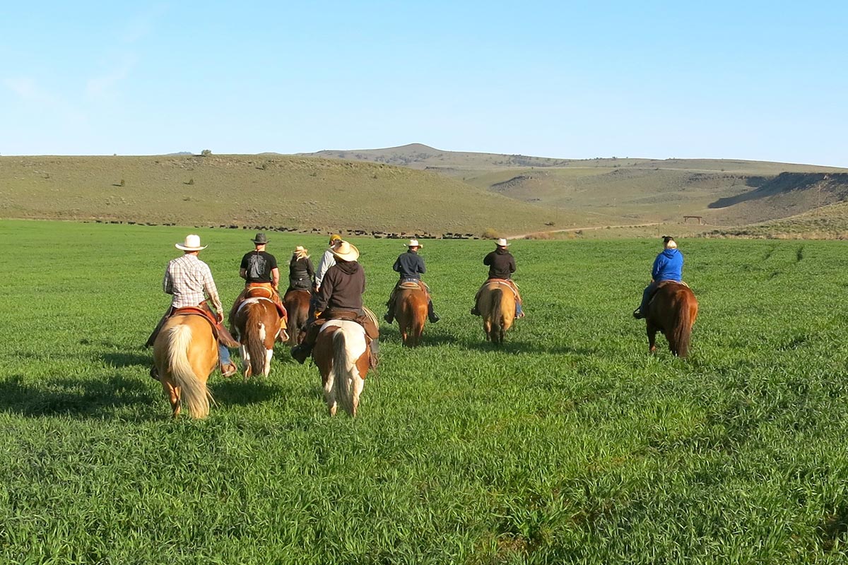 Horseback Riding