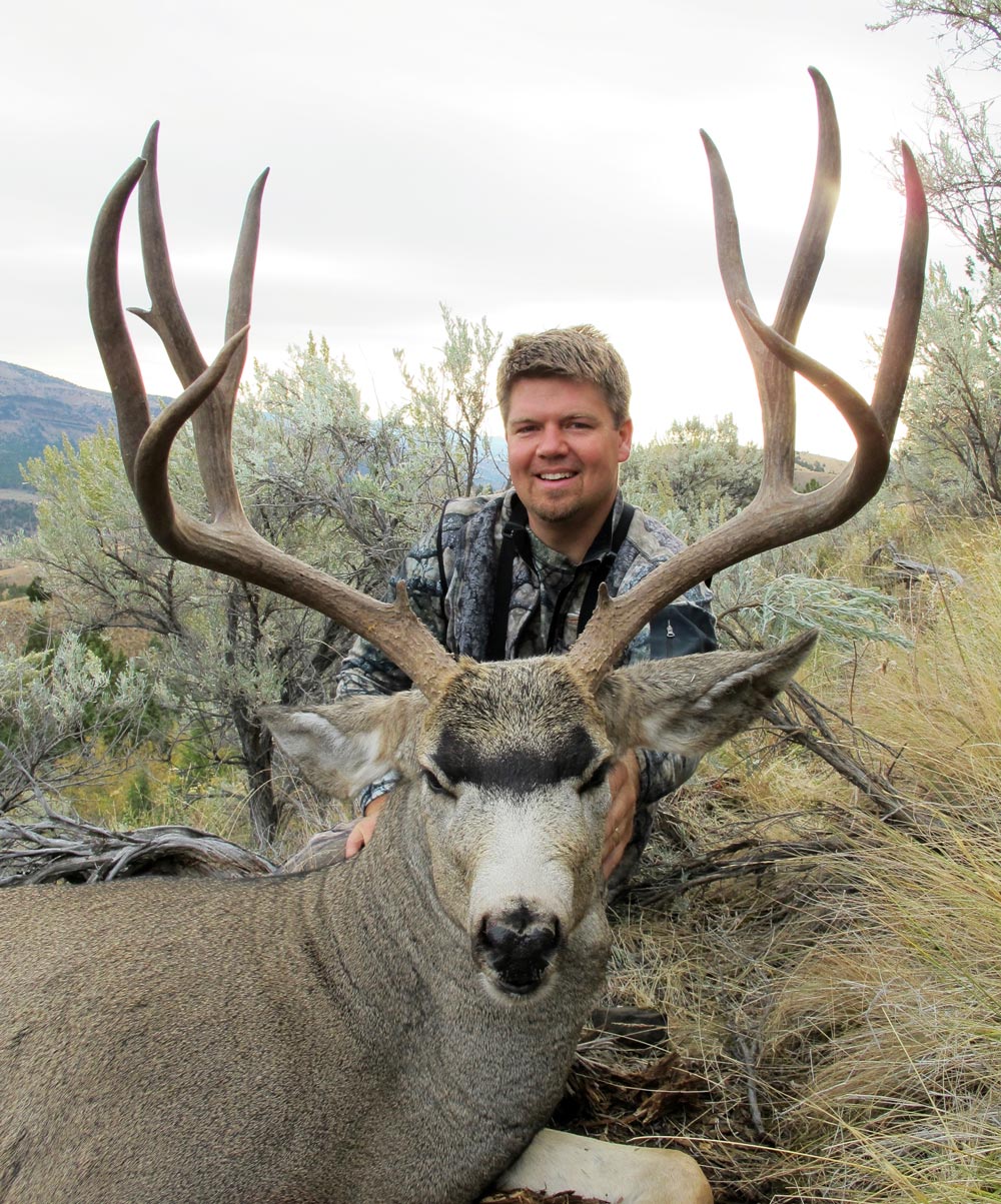 Mule Deer