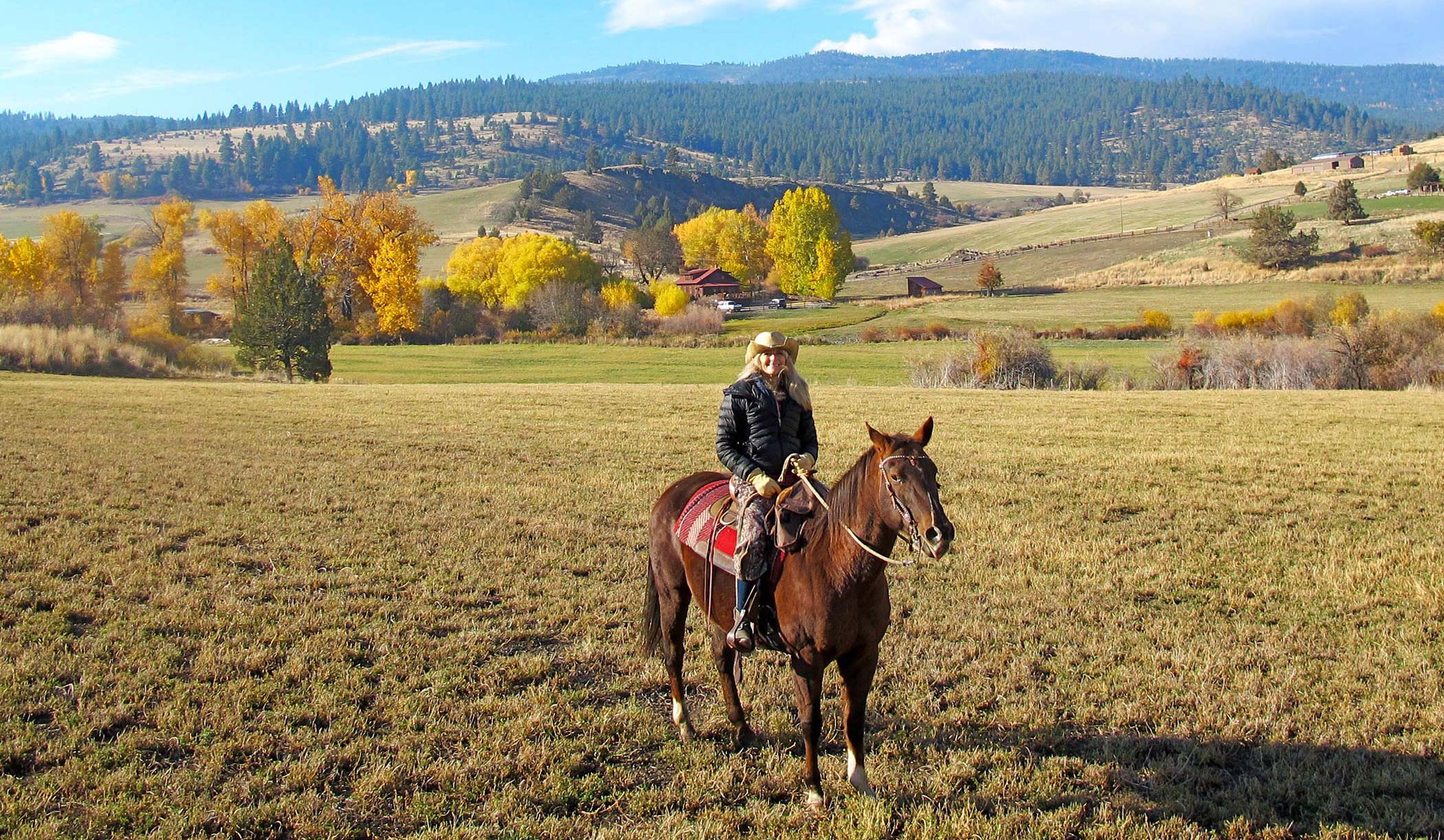 Lone Horserider in Open Country